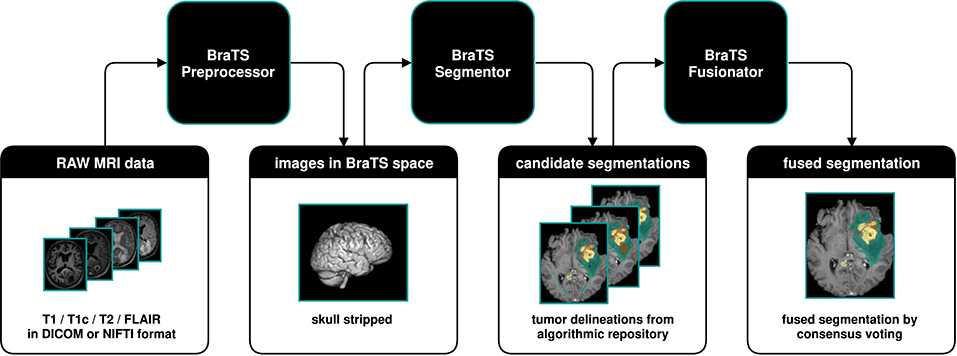 BraTS-Toolkit