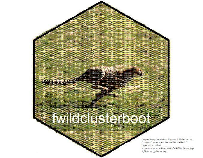 fwildclusterboot