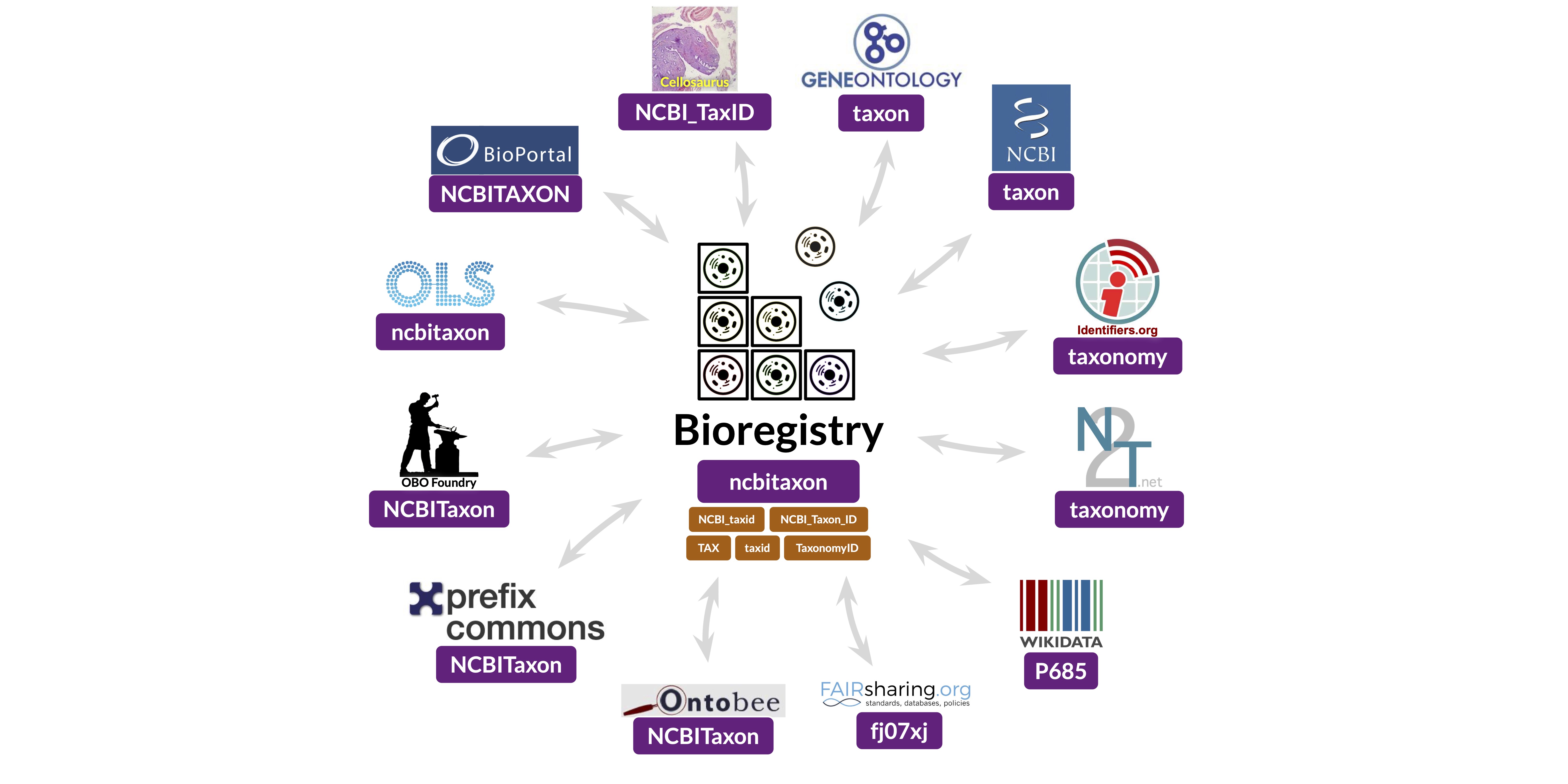 bioregistry