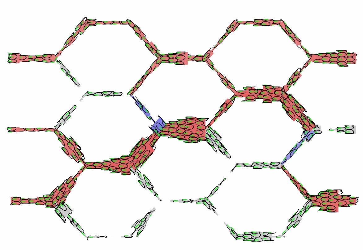 ABM_flow_migrate_angio_v2_overlapping_ellipses_release