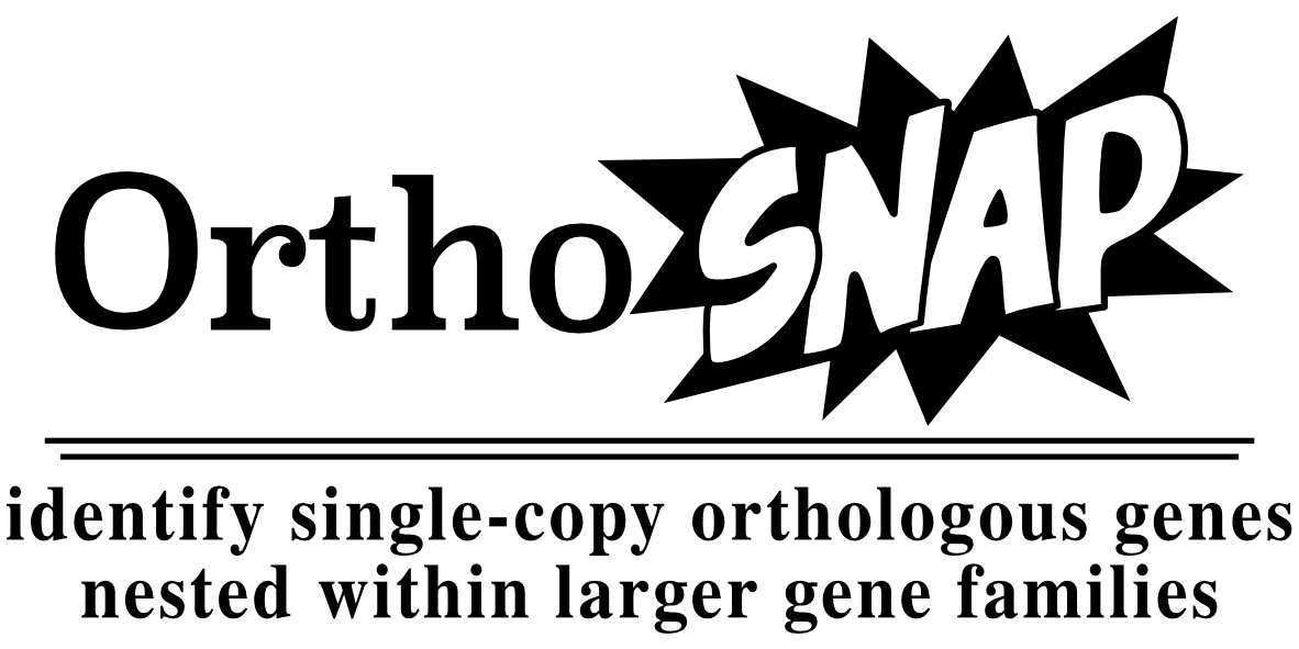 orthosnap