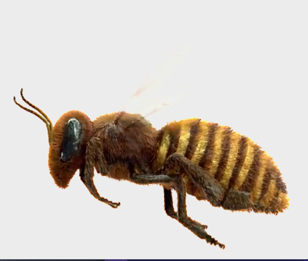 BuzZarati