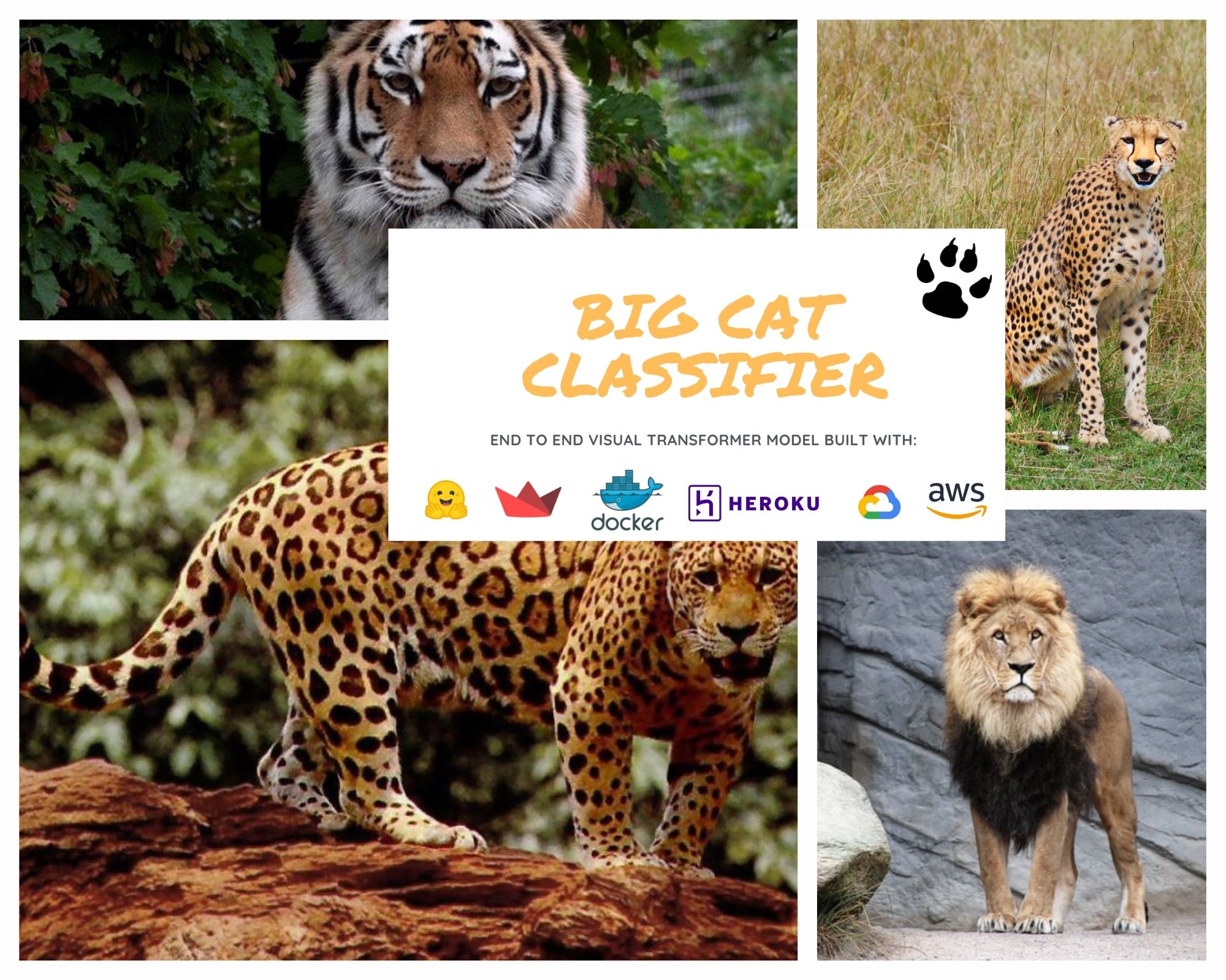 Big_Cat_Classifier