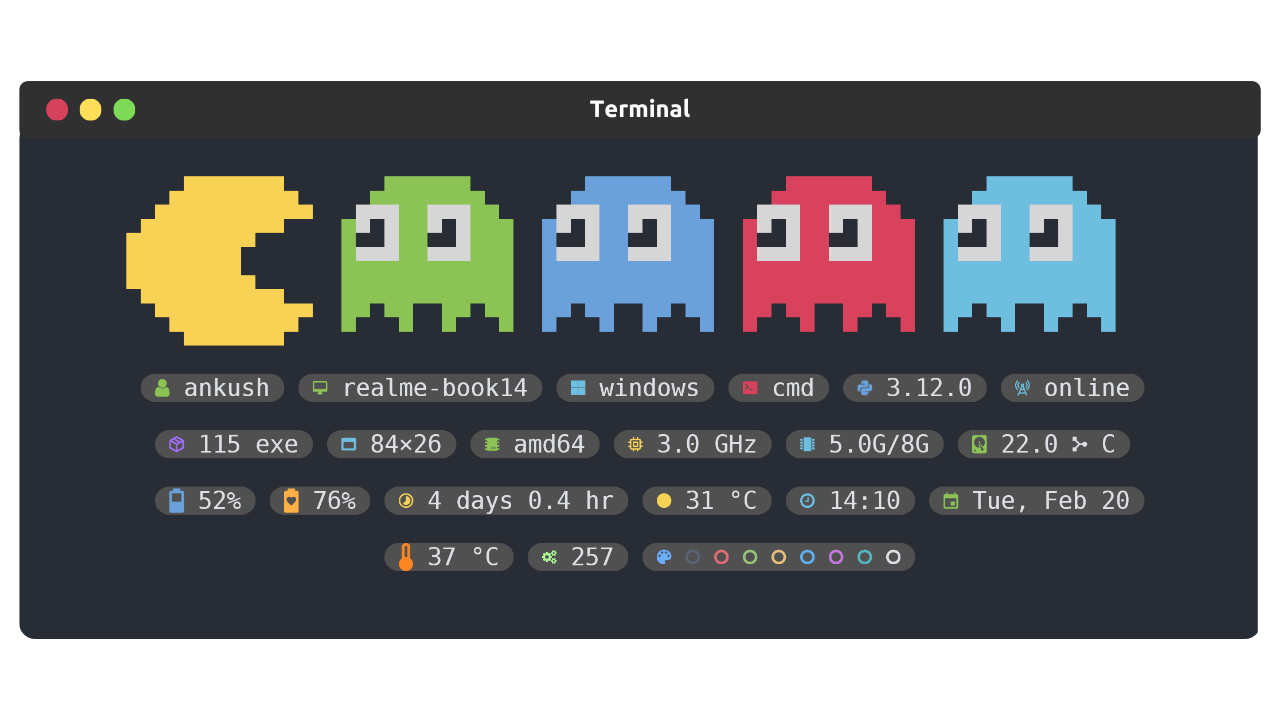 terminal-widgets