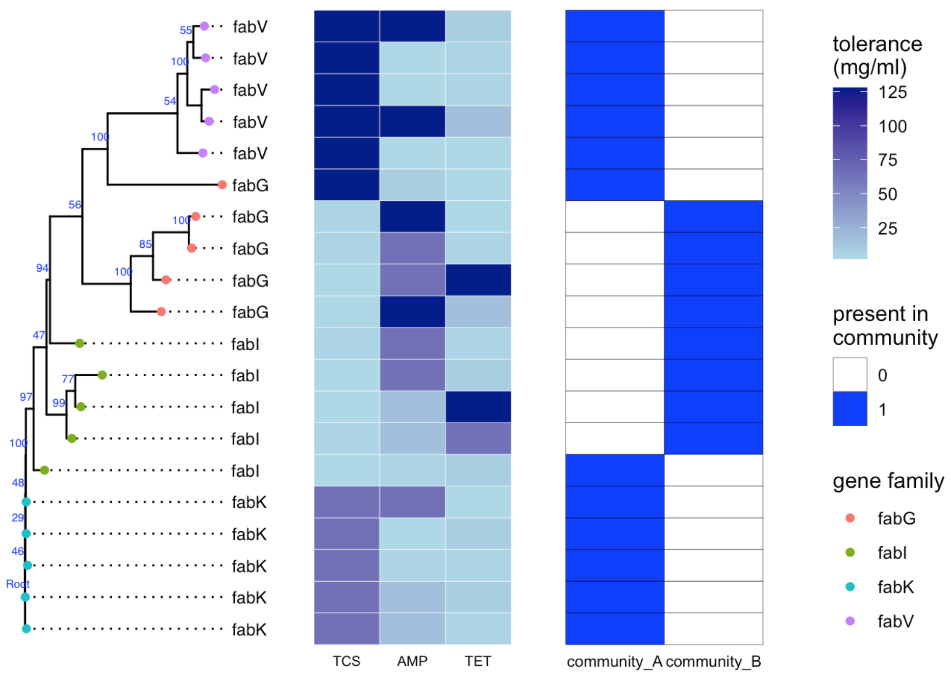 r_phylogenetics_worshop