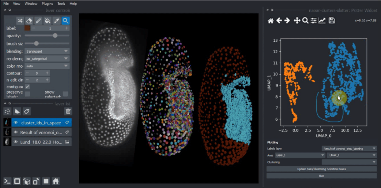 napari-clusters-plotter