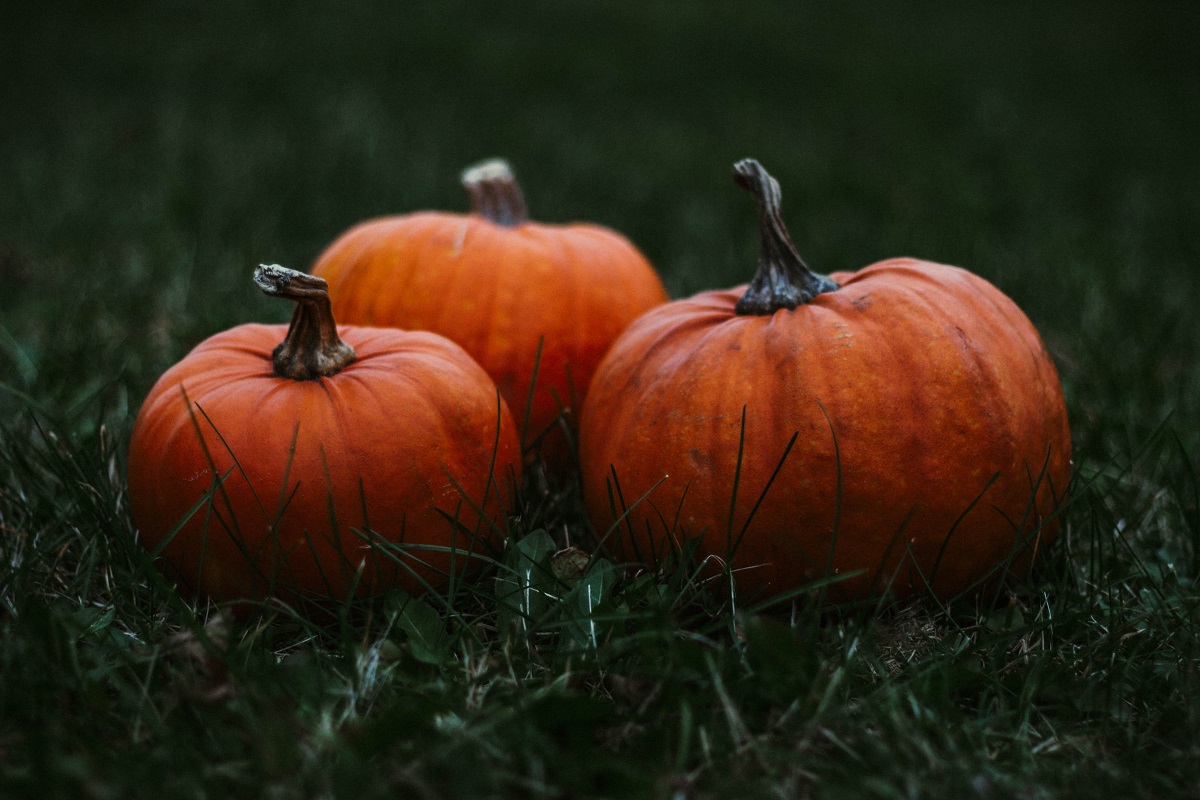 Halloween-Pumpkins