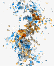 DeepBubbleVelocimetry