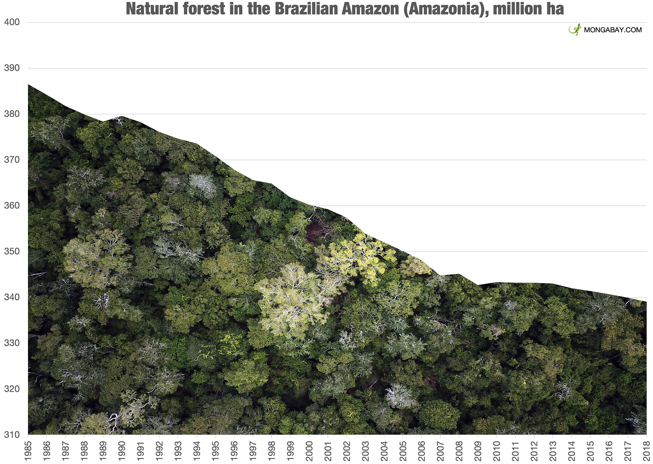 CuttingDownTrees