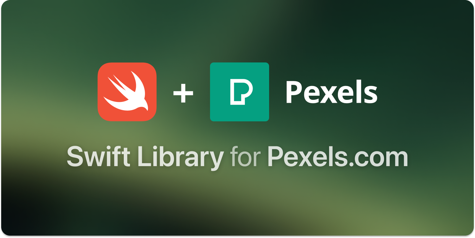 Pexels-Swift