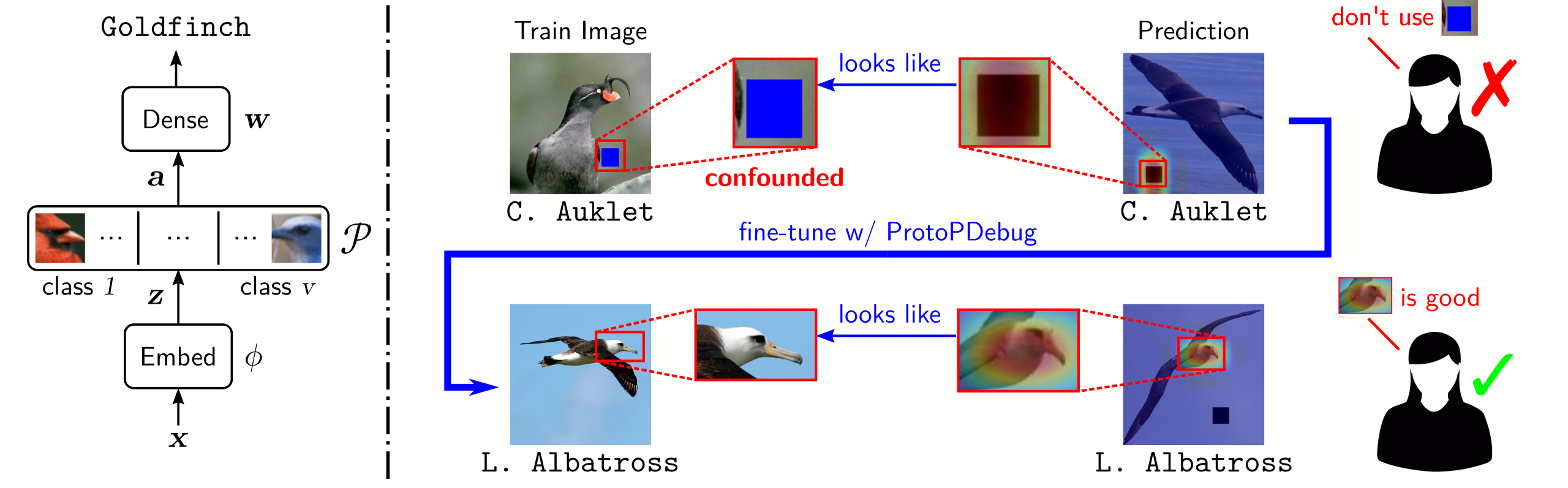 protopdebug