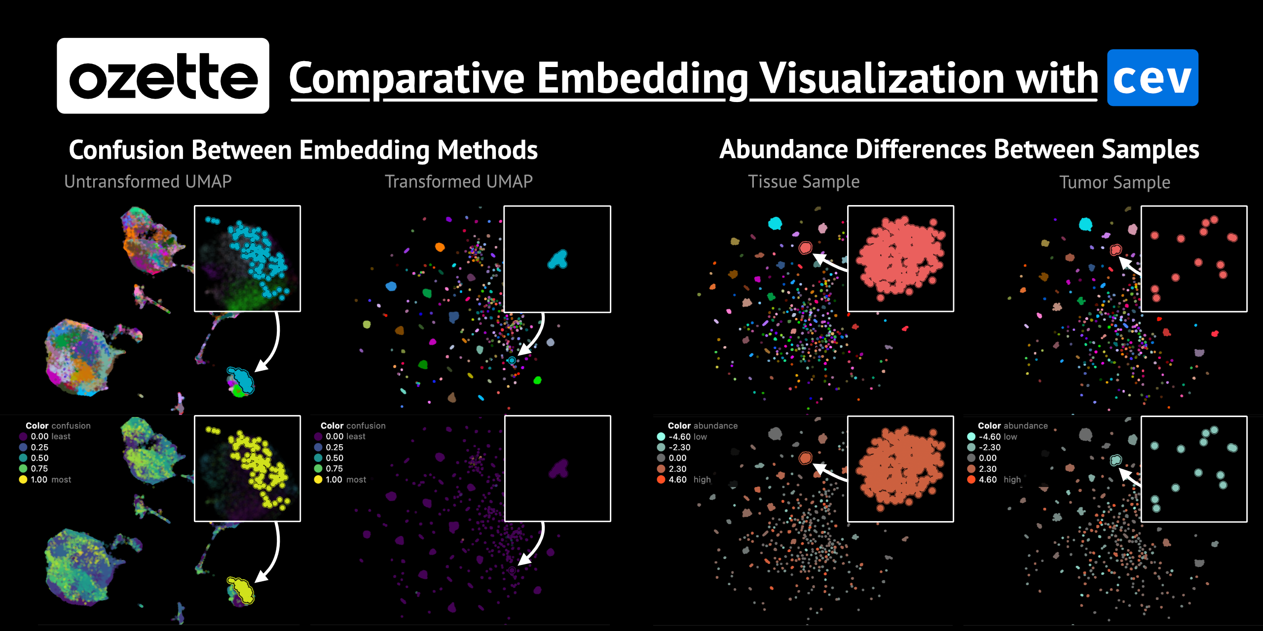 comparative-embedding-visualization