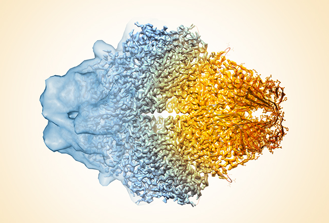 awesome-cryoem