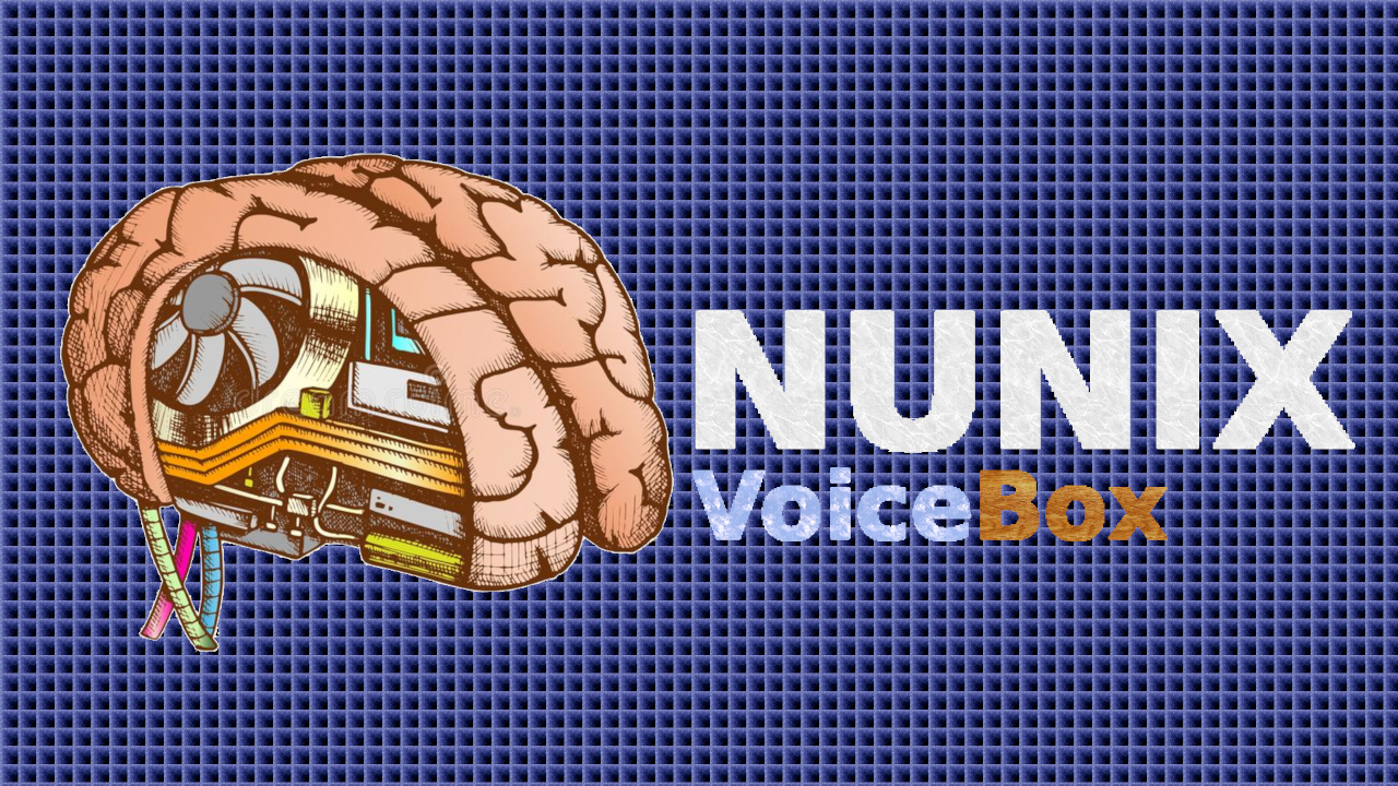 NUNIX_VoiceBox