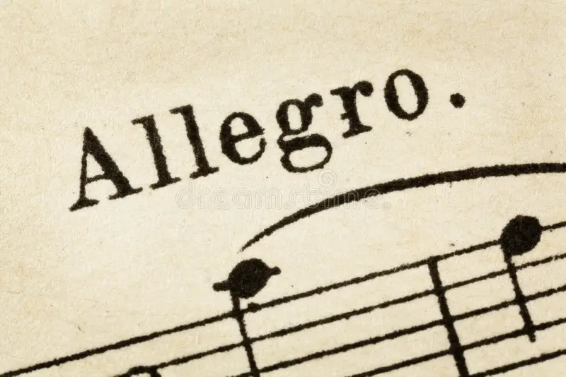 Allegro-X-Music-Transformer