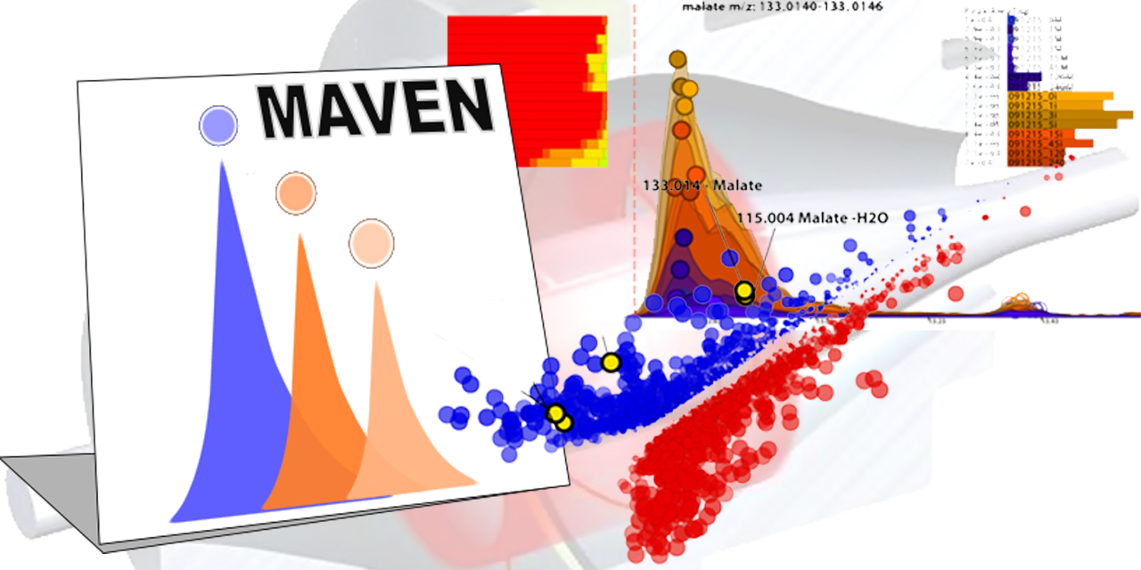 maven