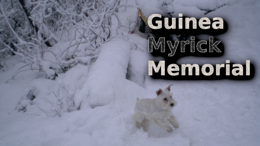 Guinea-Myrick-Memorial