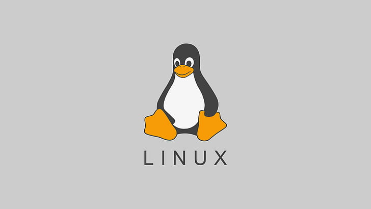 Linux-Basic-to-Advanced-Notes