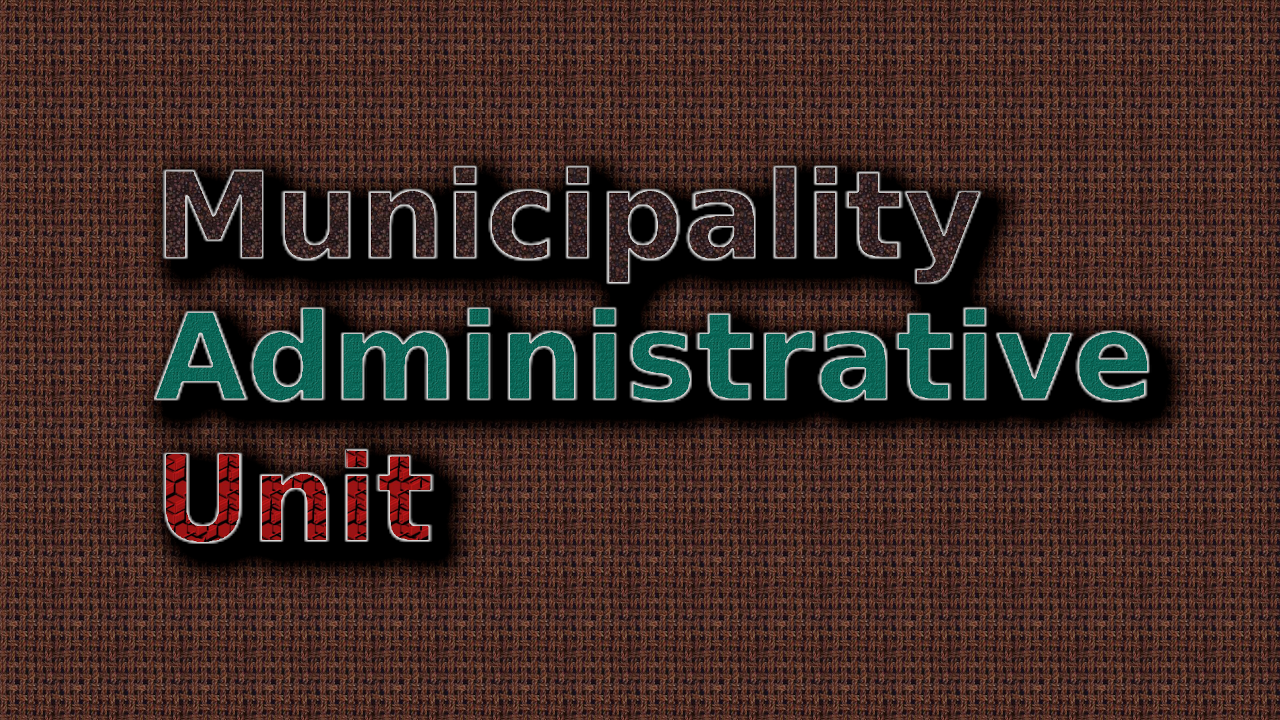 -Municipality