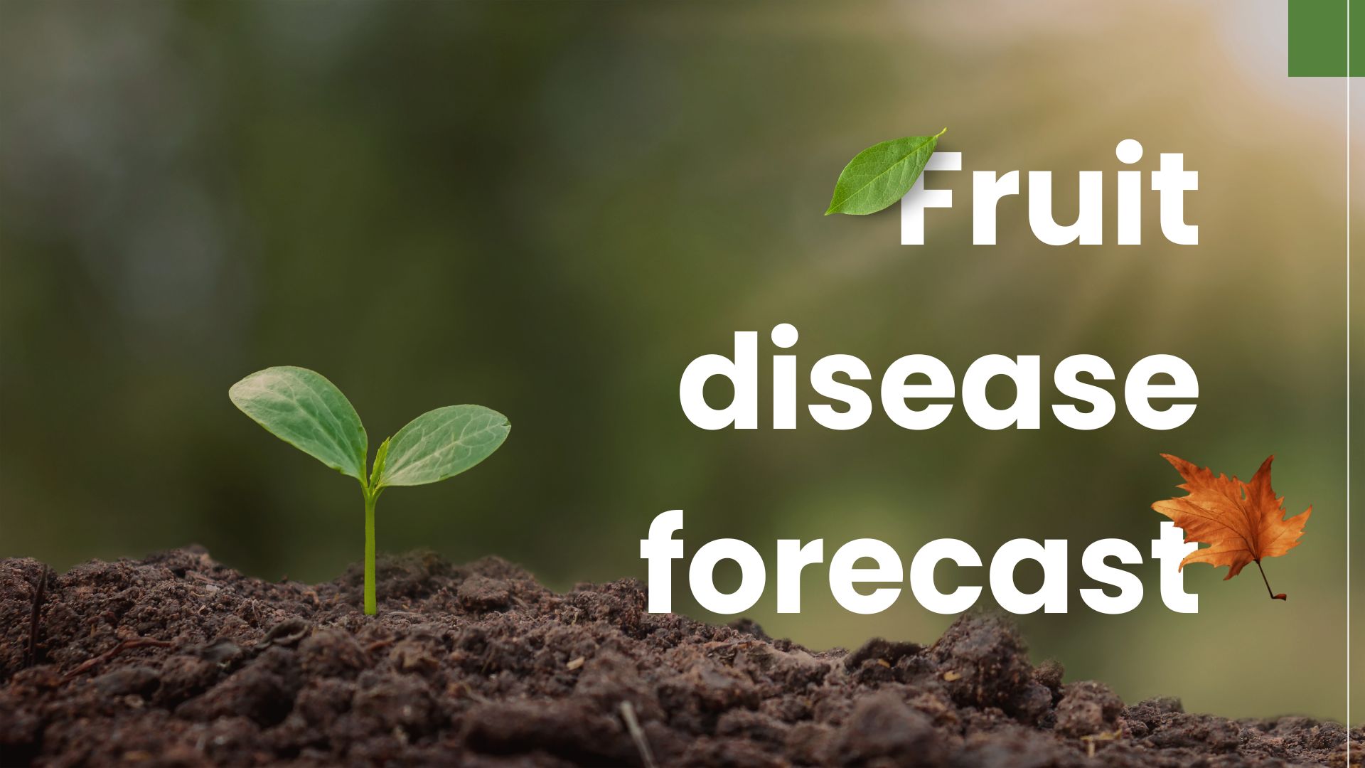 PlantDiseaseForecast