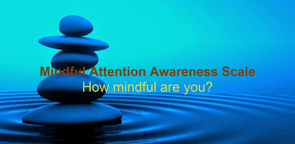 MindfulAttentionAwarenessScale