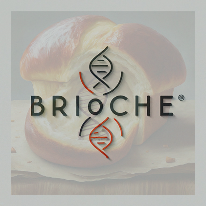 brioche