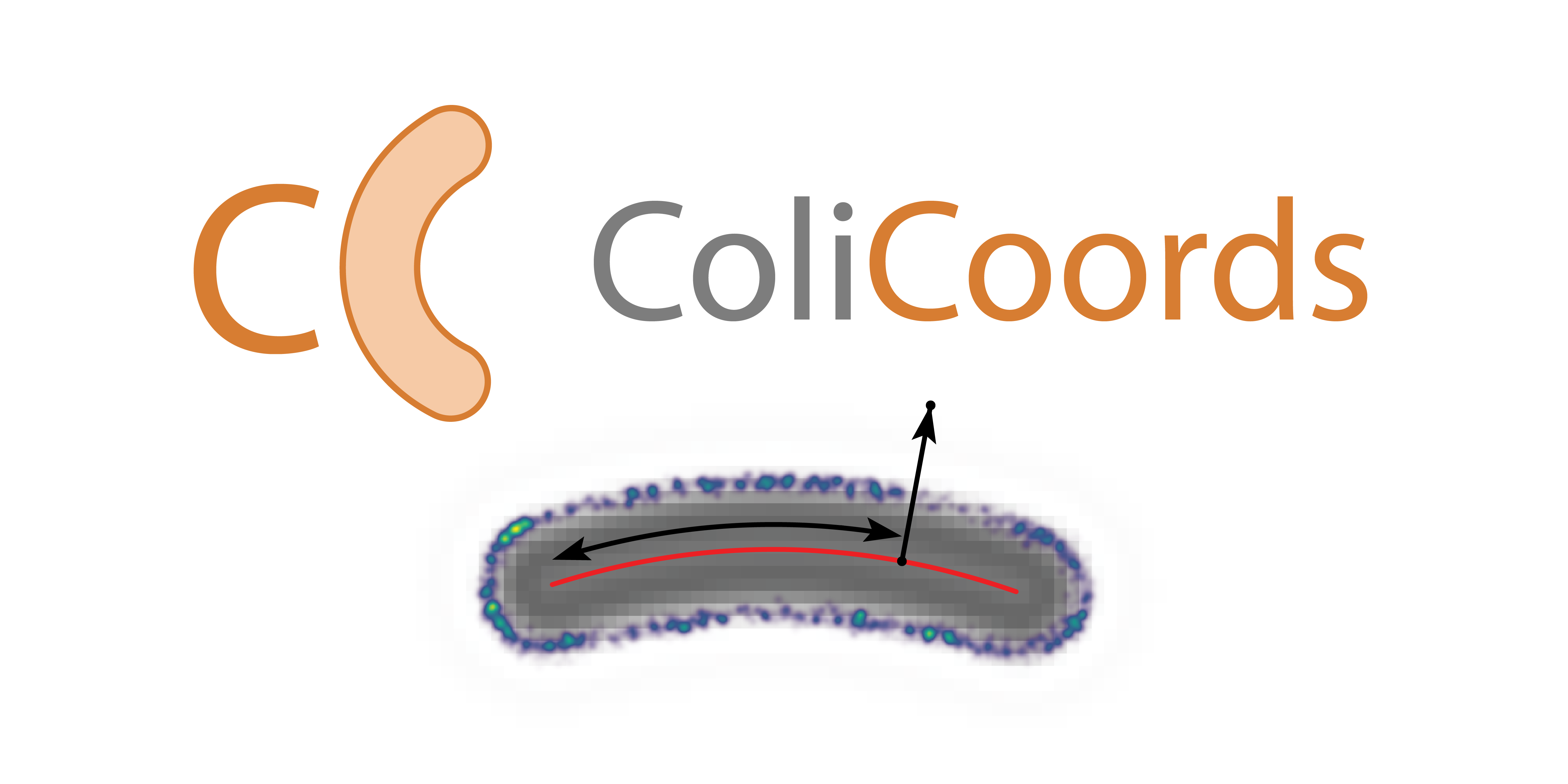 ColiCoords