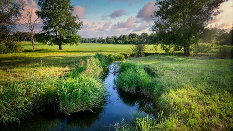 Bachlauf in Wiesenlandschaft