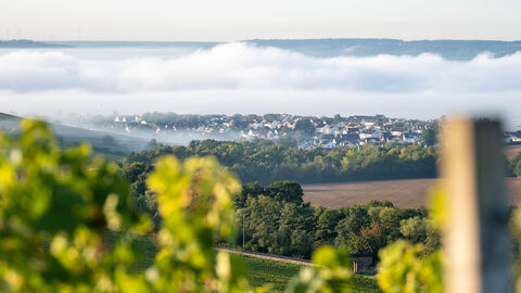 Blick von Weinberg auf Felder und Dorf