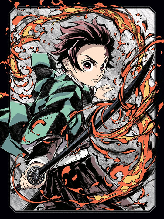 Demon Slayer: Kimetsu no Yaiba Limited Edition Blu-ray Vol. 2