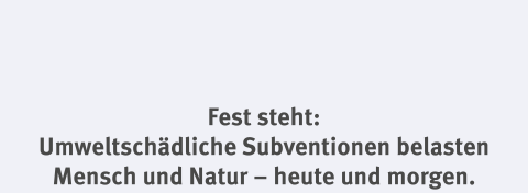 Überschrift "Fest Steht"