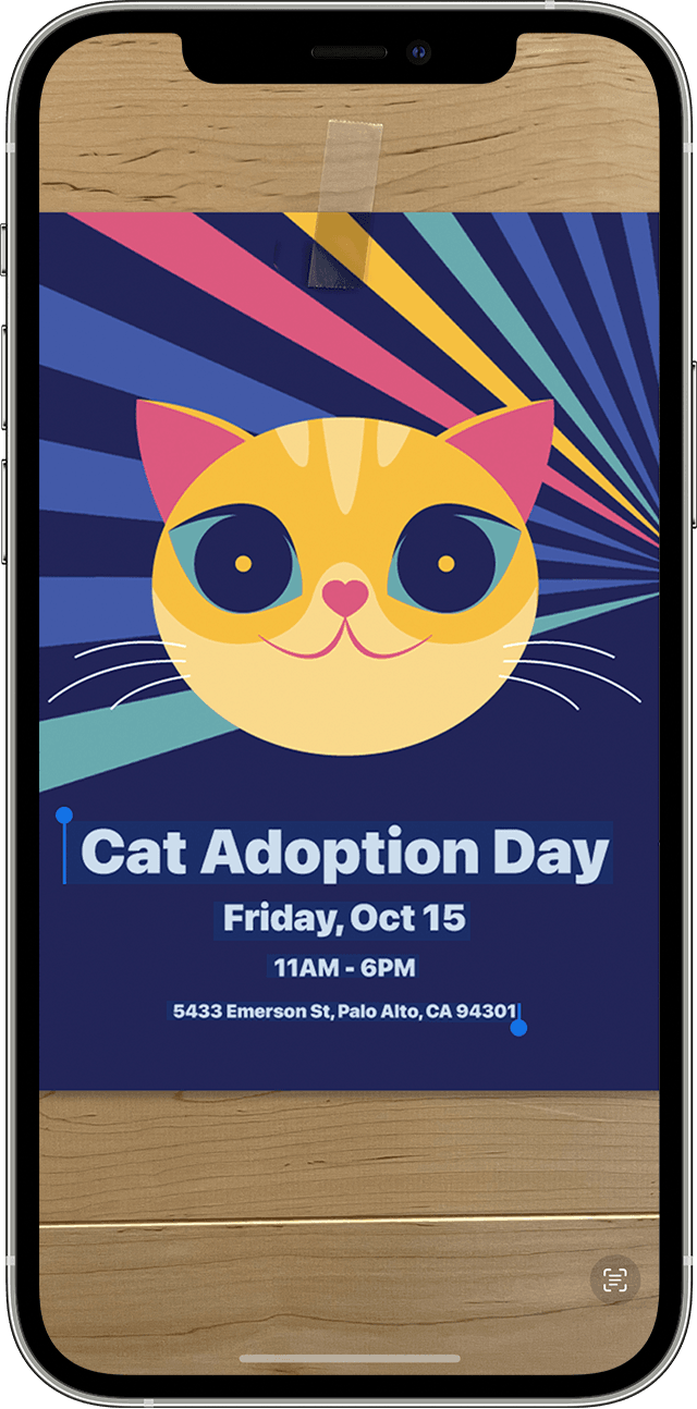 Fremhævning af tekst på et foto af en plakat fra Cat Adoption Day for at vise knappen Livetekst