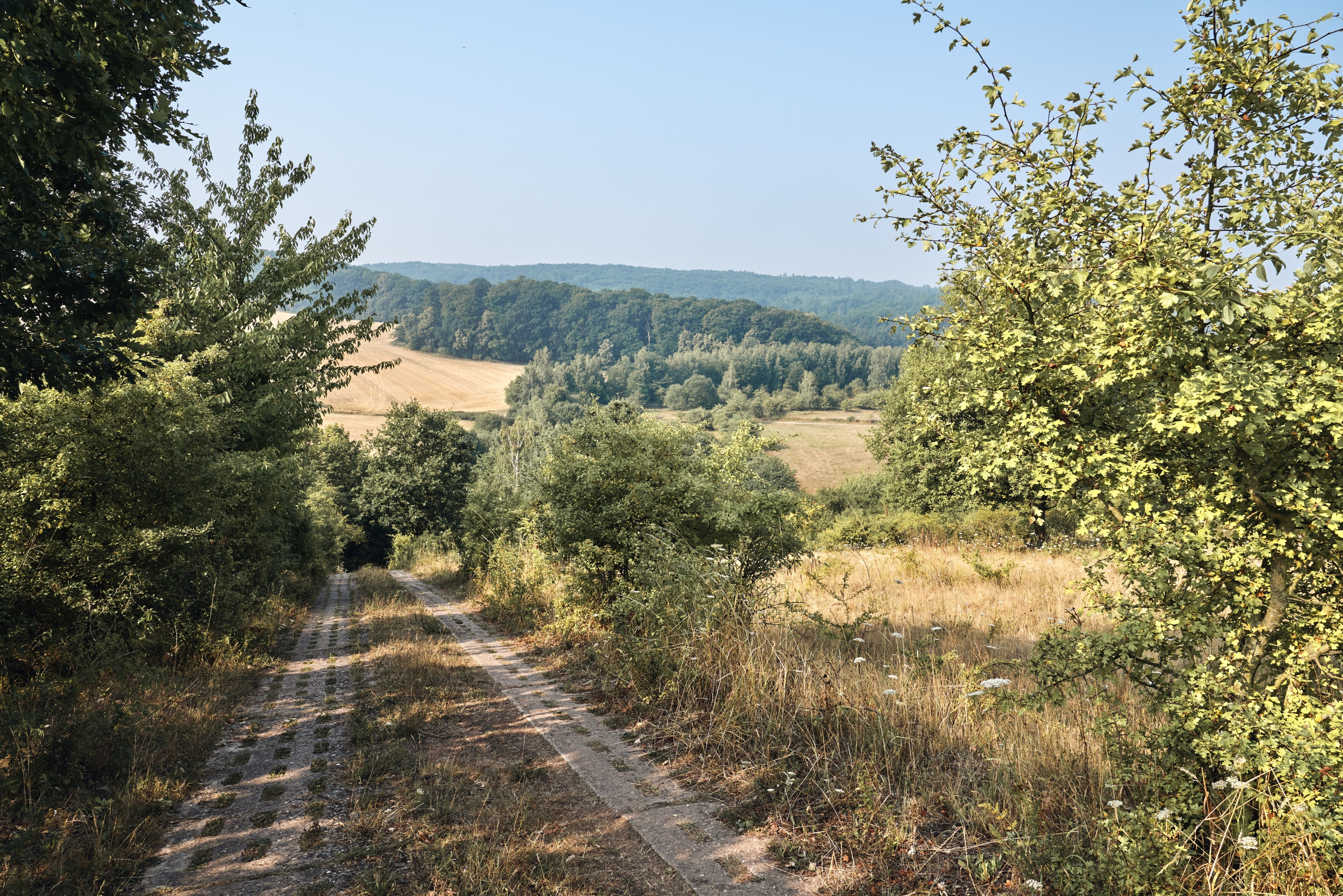 Teilabschnitt des Grünen Bandes