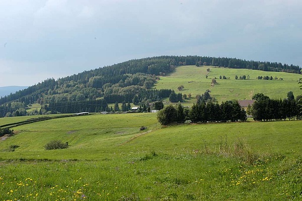 Thüringer Wald mit Bergwiese und bewaldeten Hügeln