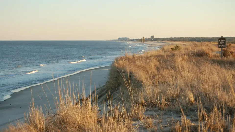 Delaware coastline with dunes and tall straw-colored grass