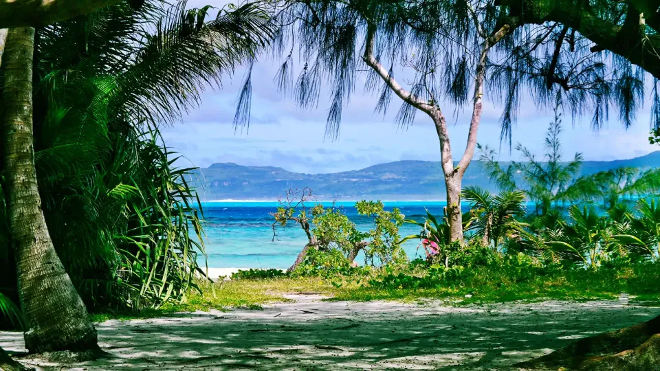 A beach cove, framed by palms and blue water in Northern Mariana Islands