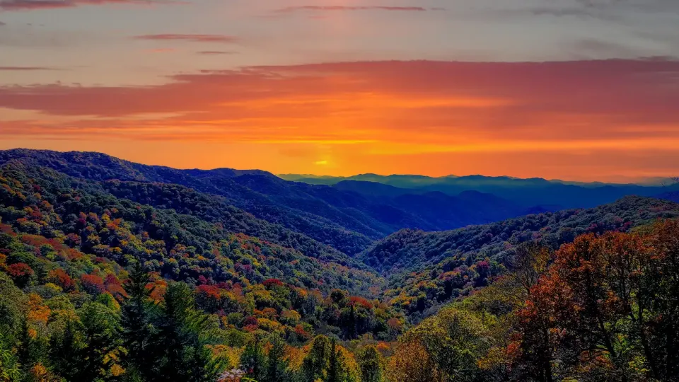 Tops of autumn trees in Tennessee mountains