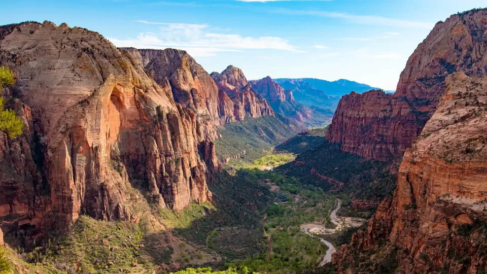 Red rock canyons of Utah with green valleys of ferns, fir and spruce trees