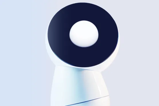 Jibo: L2 & L3 Software Maintenance Services