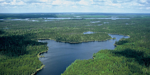 Ontario Northern Boreal