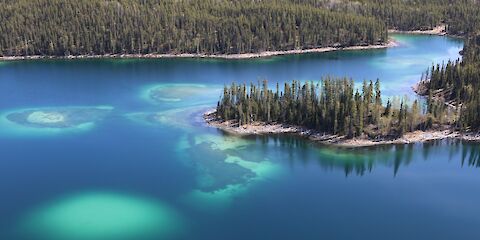 Northern Boreal Mountains