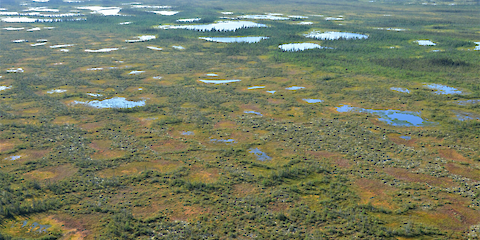 The National Peatland Policy Project