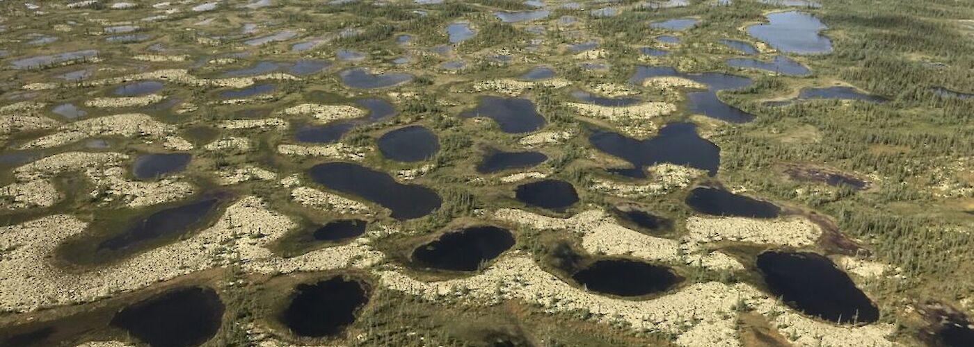 Peatlands, Hudson Bay Lowlands, Adam Kirkwood