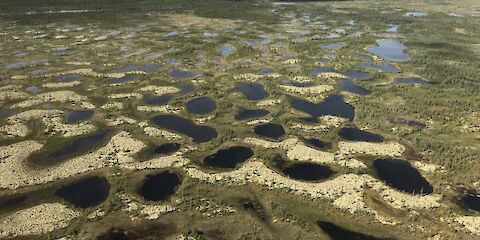 Synthesis of peatland knowledge in the Hudson Bay Lowland