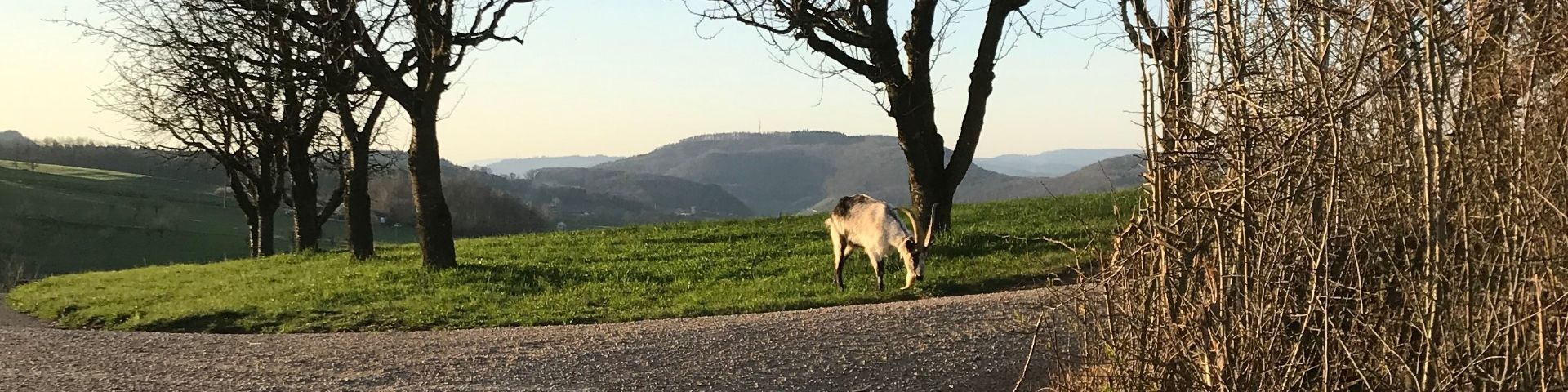 Jura Geiss Spaziergang