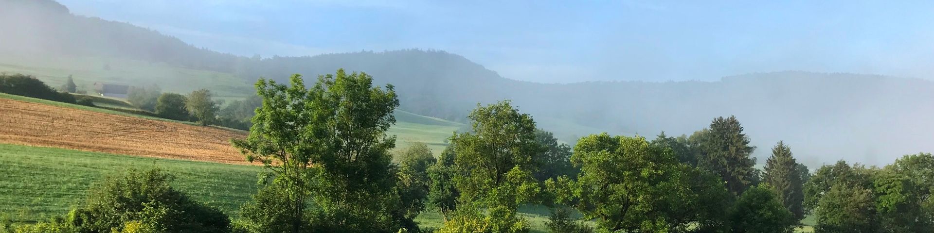 Wegenstetten im Sommernebel