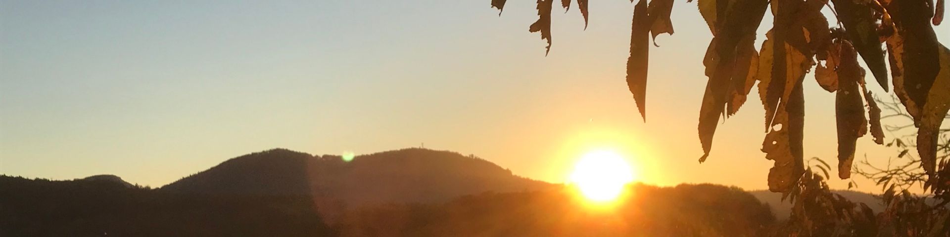 Sonnenuntergang im Jura