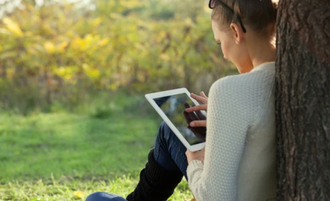 Mediathek ©shutterstock - Rasstock