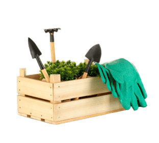 Gardening & Tools thumbnail