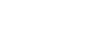 AIG Logo